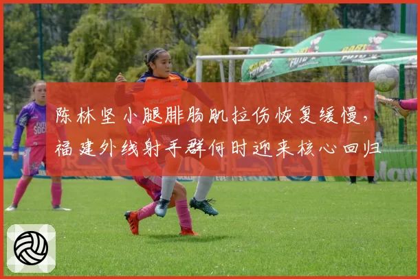 陈林坚小腿腓肠肌拉伤恢复缓慢，福建外线射手群何时迎来核心回归？