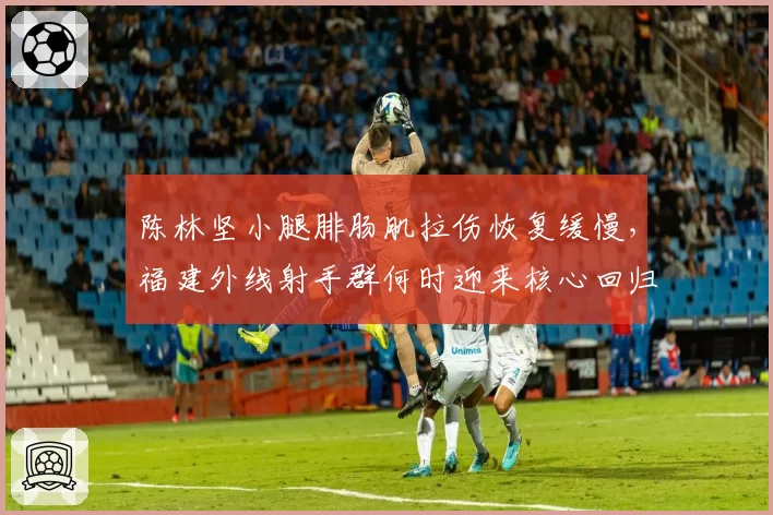 陈林坚小腿腓肠肌拉伤恢复缓慢,福建外线射手群何时迎来核心回归?